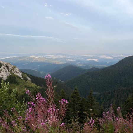Lux Apartman A18 & Spa Centar Kopaonik Luaran gambar