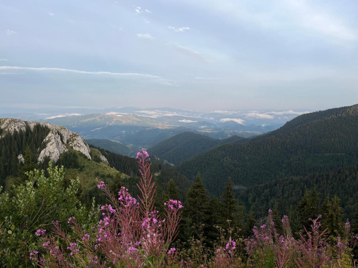 Lux Apartman A18 & Spa Centar Kopaonik Luaran gambar